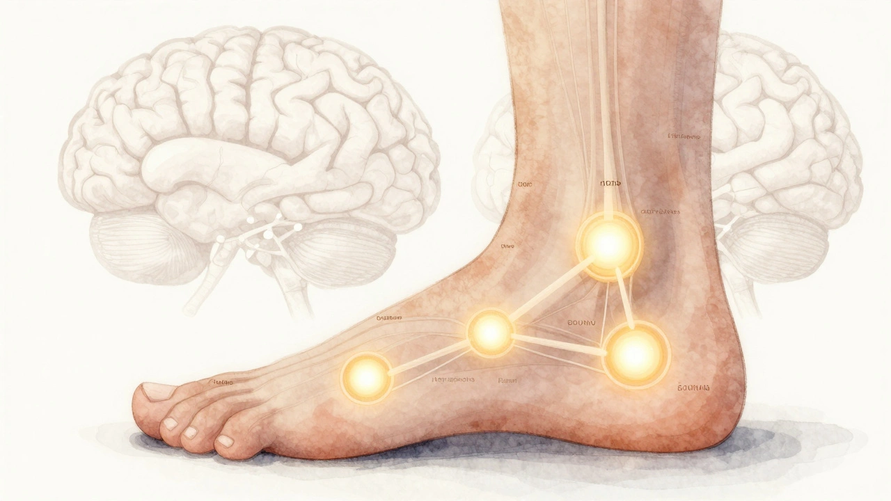Kresba nohy s označenými klíčovými reflexními body zářícími zlatou barvou.