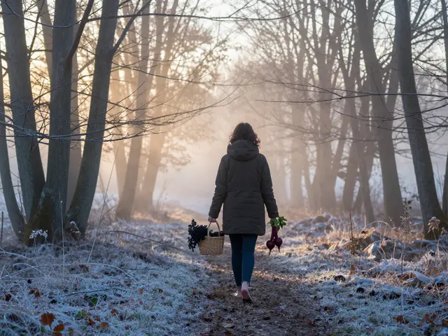 Jaké bylinky na lymfu? Nejúčinnější rostliny pro podporu lymfatického systému