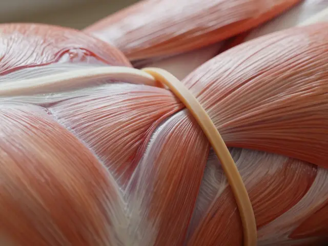 Jak sportovní masáže pomáhají zlepšit výkon