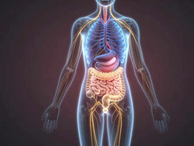 Thajské masáže při poruchách trávení: Jak tlak na body stimuluje střeva